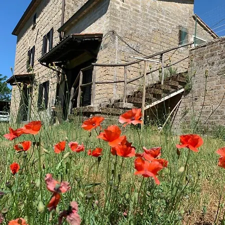 Casa Di Monica Torre San Severo