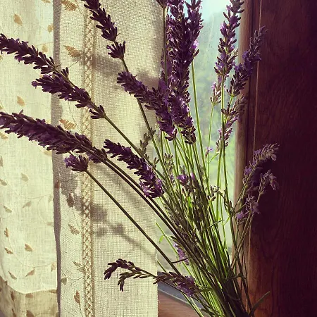 Casa Di Monica בית נופש *