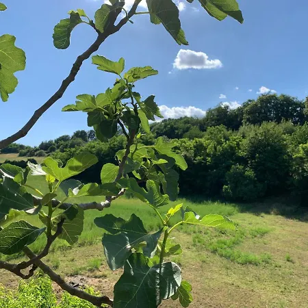 בית נופש Casa Di Monica