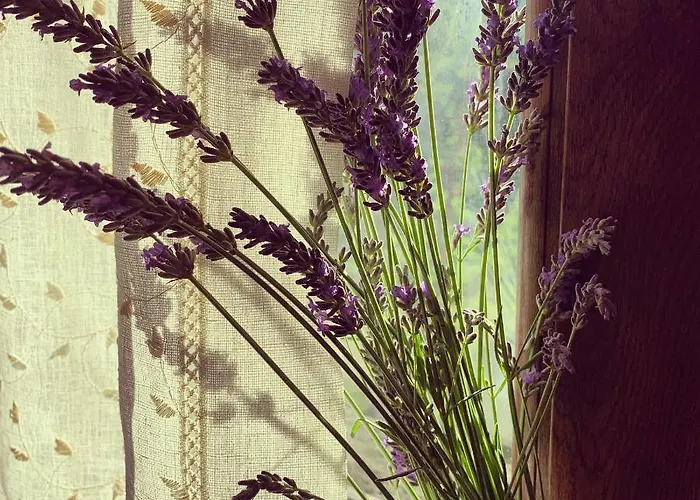 Casa Di Monica Dom wakacyjny *