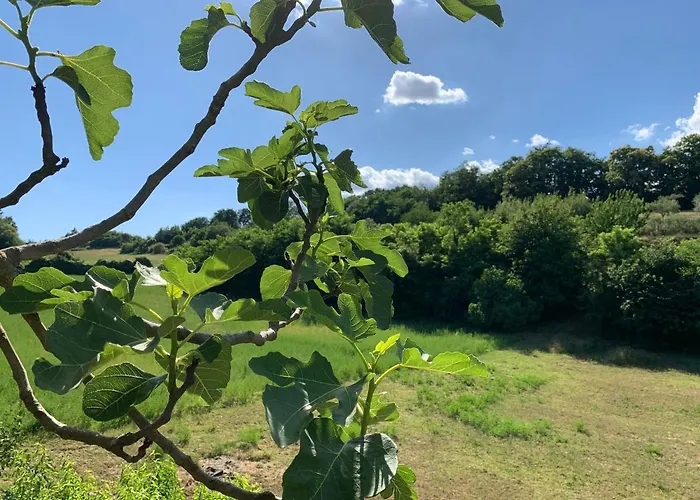 Дом отдыха Casa Di Monica